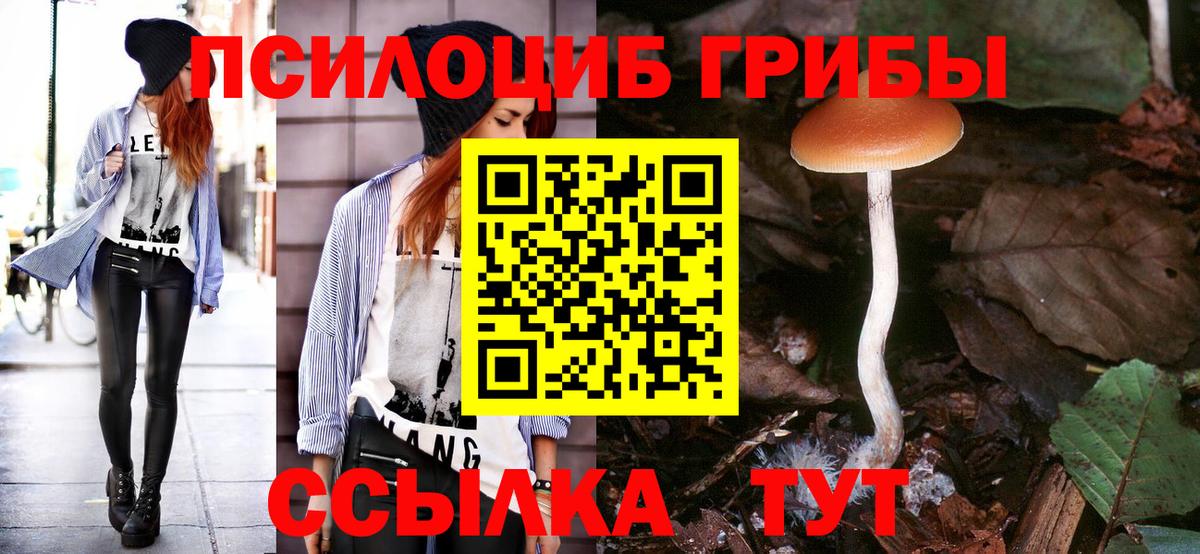 Галлюциногенные грибы Magic Shrooms Джанкой