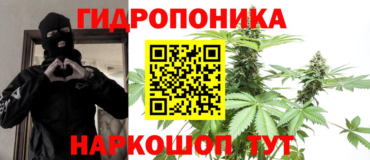 Шишки марихуана White Widow Джанкой